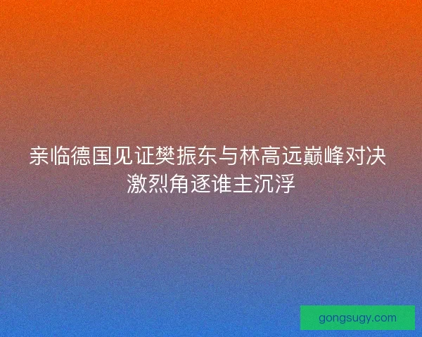 亲临德国见证樊振东与林高远巅峰对决 激烈角逐谁主沉浮